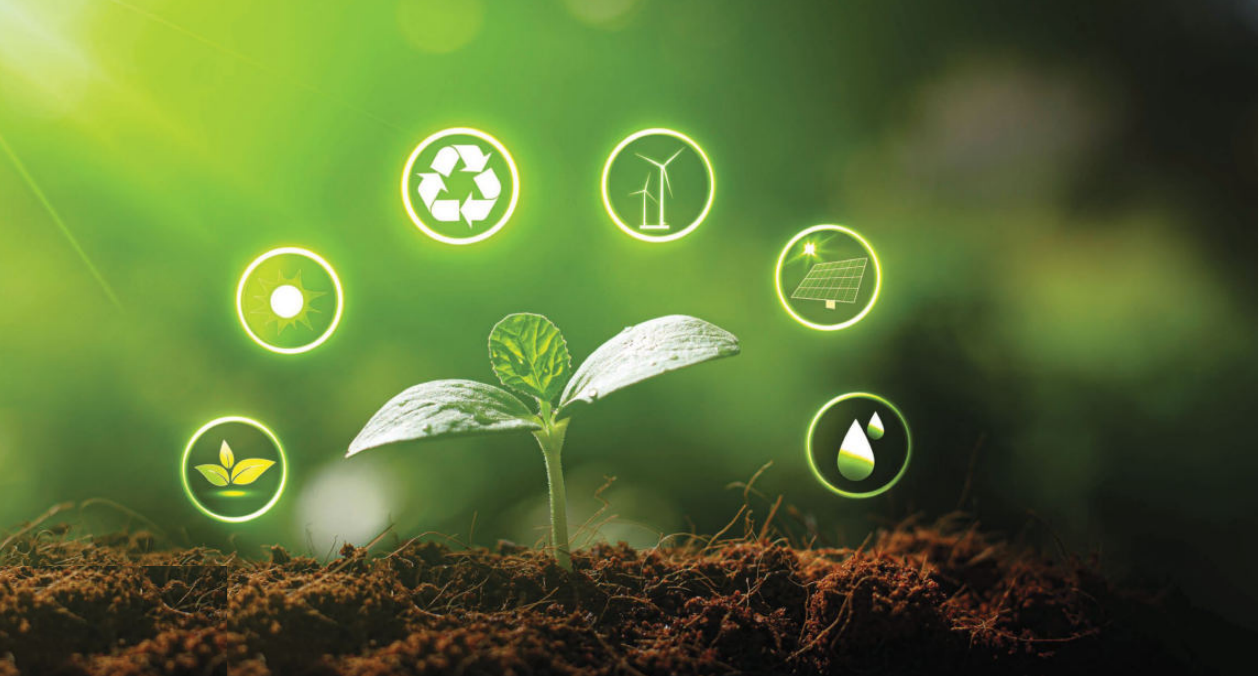 Vietnam Forging a Resilient Green Equitable Supply Chain Future