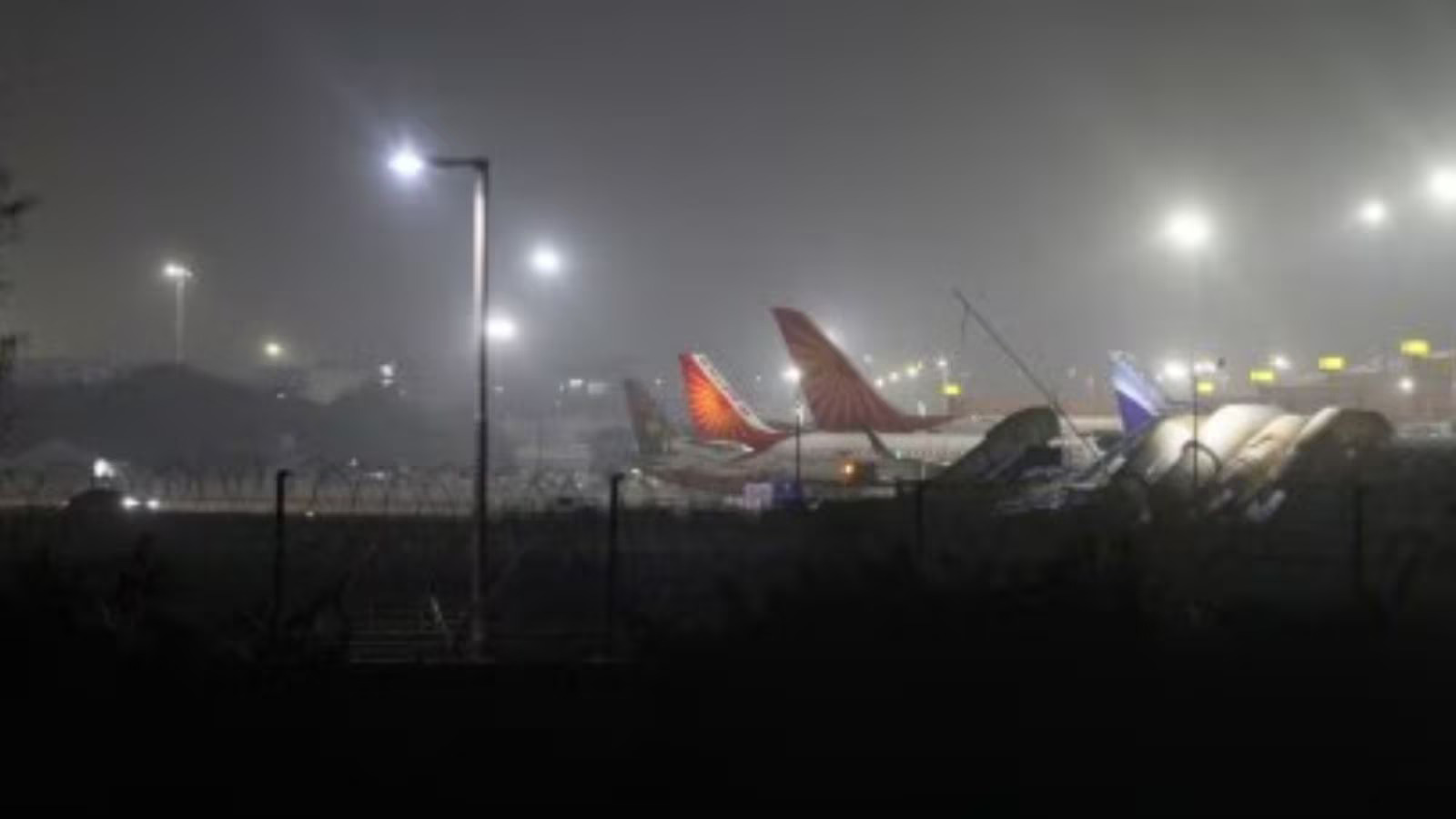Kolkata Airport Reports 109 Bird Strikes in Six Years Amid Safety Concerns