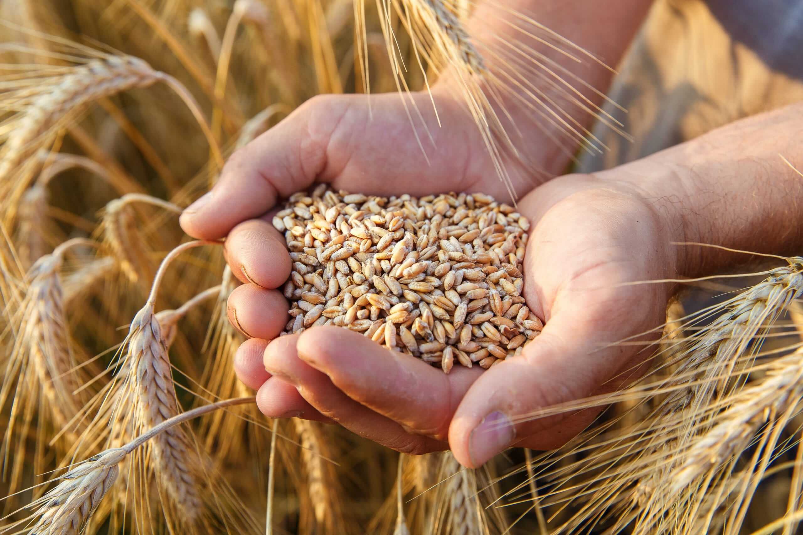 Arunachal Pradesh’s Indigenous Farming Offers Model for Climate Resilience