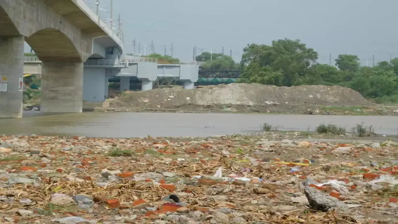 Delhi Authorities Under Scrutiny as NGT Seeks Explanation on Vanishing Wetland