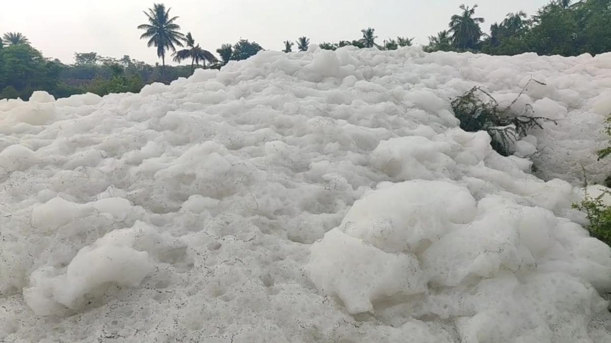 Karnataka Directed By NGT To Address Thenpennai River Pollution