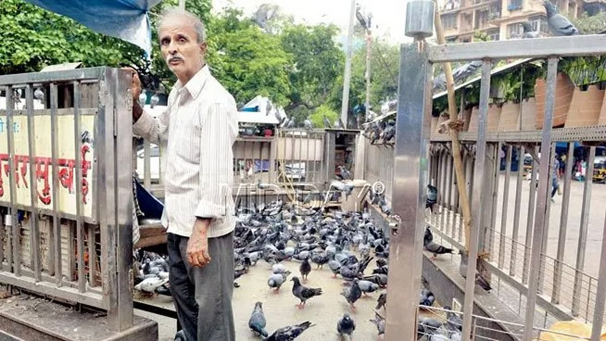 Mumbai Government Orders Immediate Closure of Kabootar Khanas Over Respiratory Risks