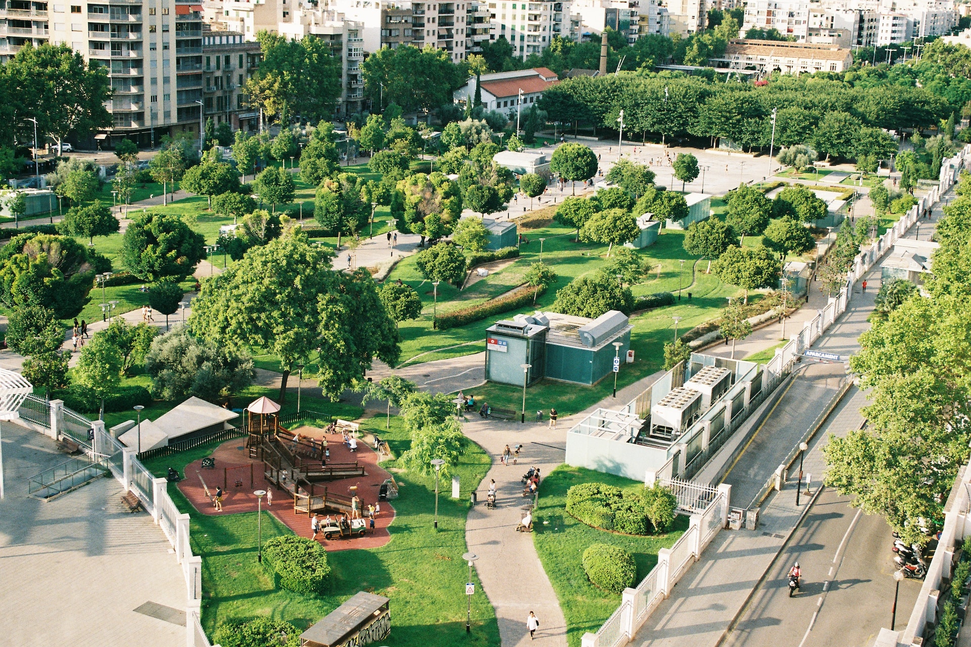 Patna Expands Green Zones to Combat Heat and Pollution Crisis