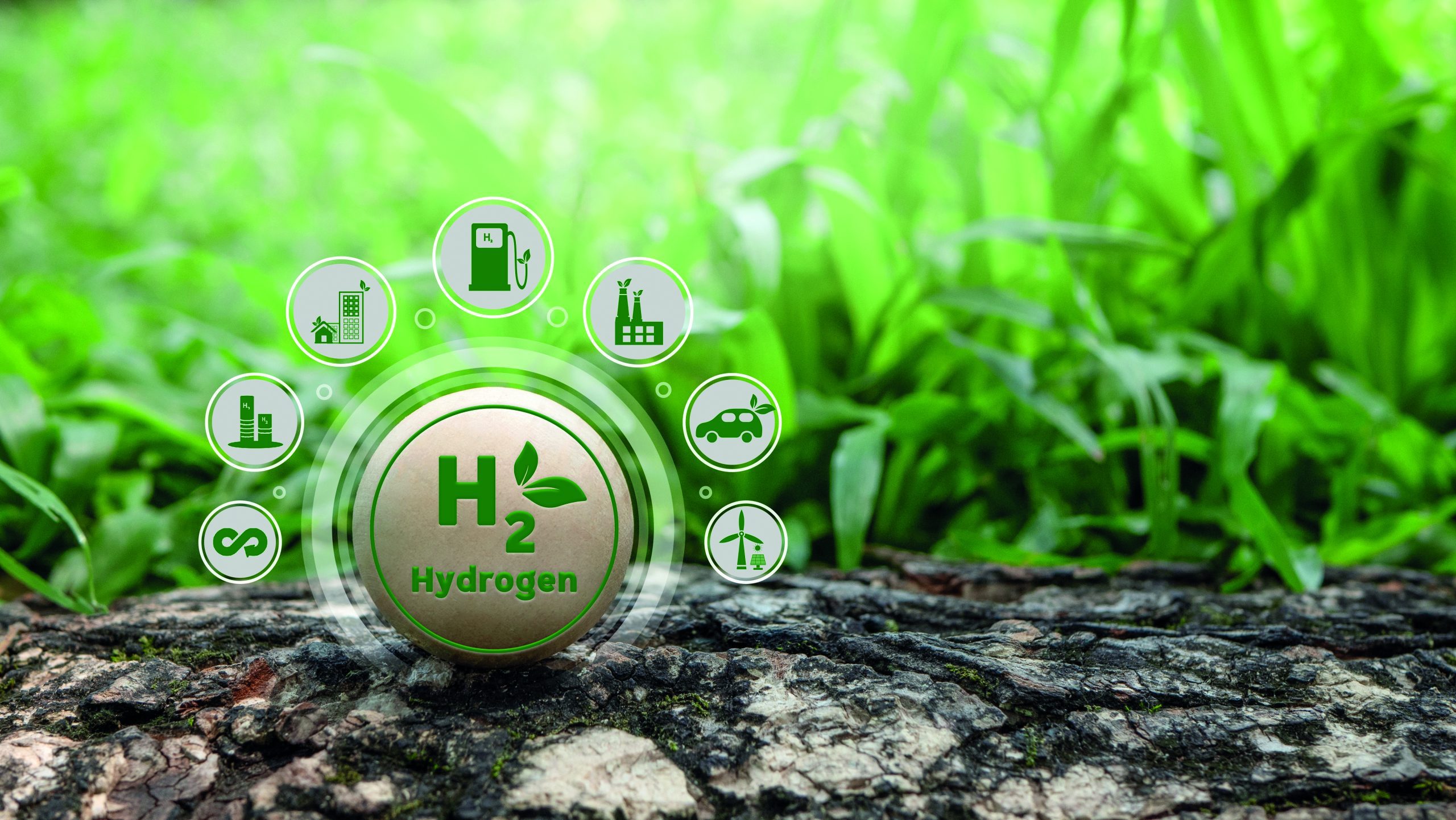 Berlin Officials Warn Green Hydrogen Setbacks Could Delay Fossil Fuel Phaseout Goals
