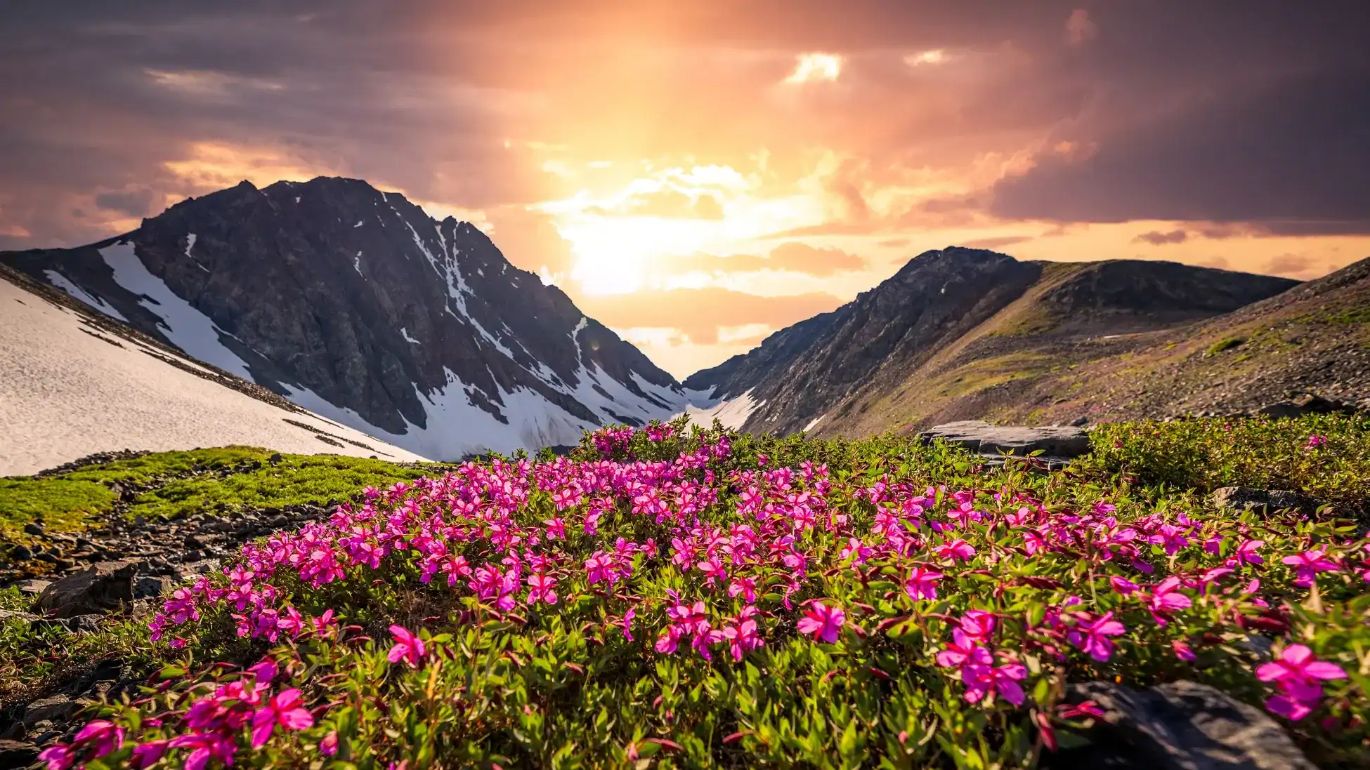 Jammu Opens Road To Valley Of Flowers, Targets Eco-Tourism Expansion Push