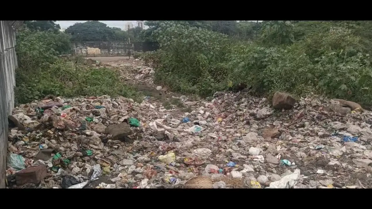 Pune Airport Faces Heightened Bird Strike Risks Due To Garbage Dumps