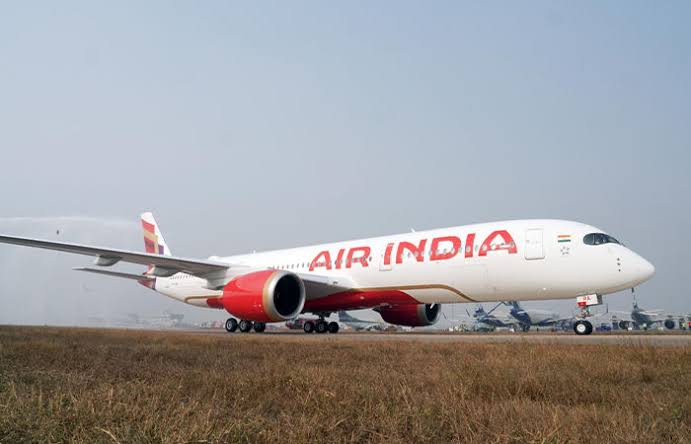 Pune Flight bird hits raise safety concern