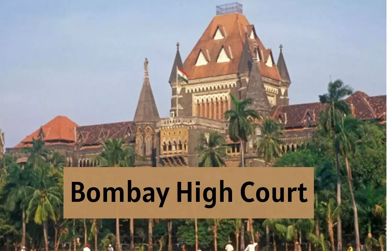 Mumbai HC directs state to identify land for SGNP rehabilitation