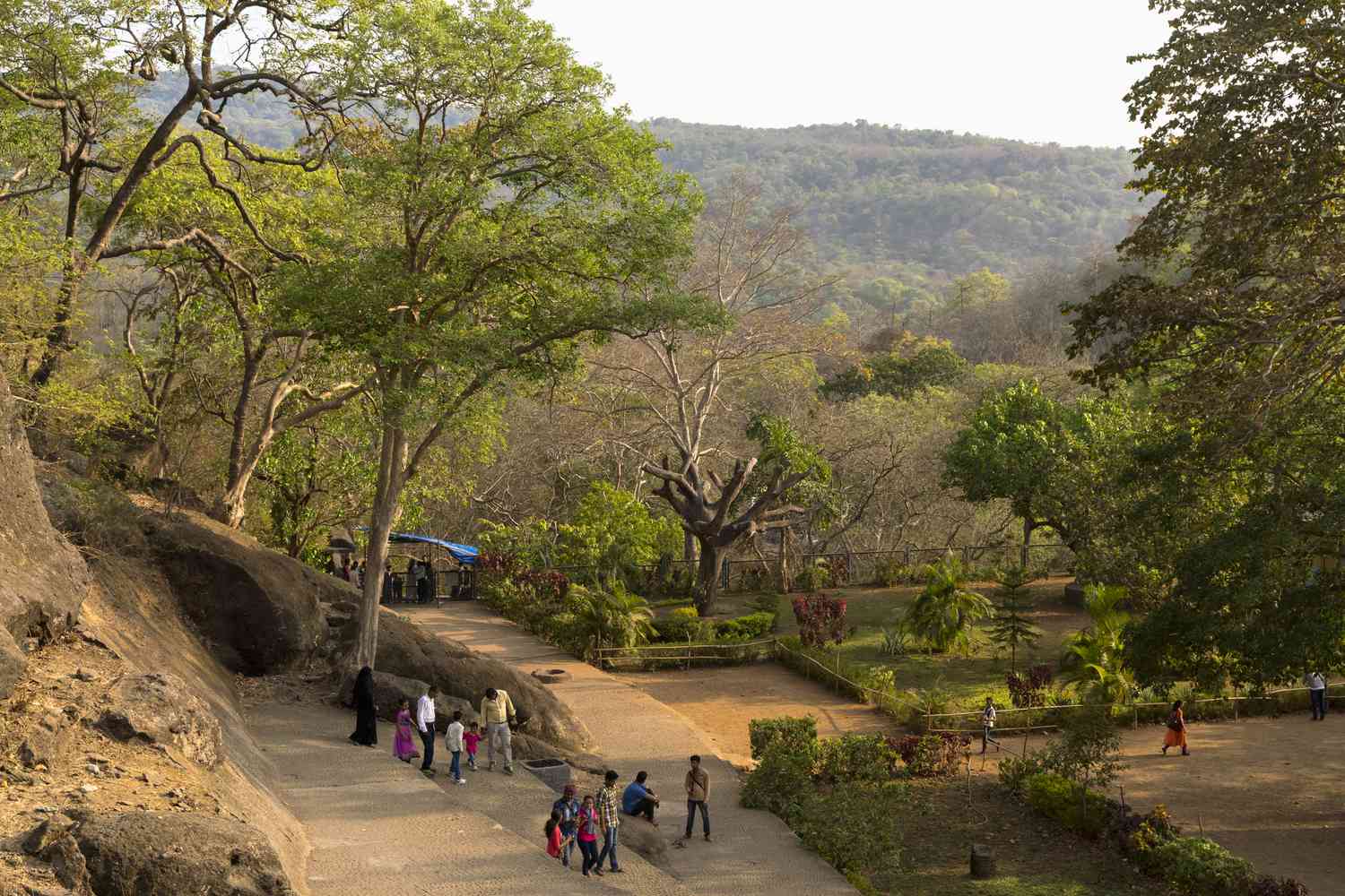 Mumbai Draft Eco Zone Sparks Concern As Forest Officials Flag Regulatory Gaps