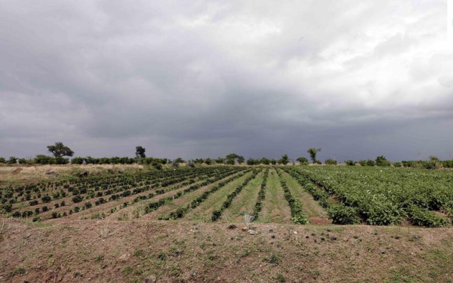 Pune Officials Send Comprehensive Purandar Airport Land Compensation Report To Maharashtra Government