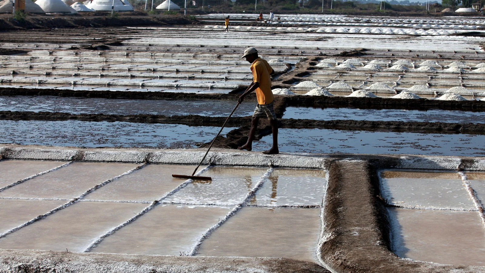 MMRDA Hands Over Wadala Salt Pan Land Following High Court Compliance Order