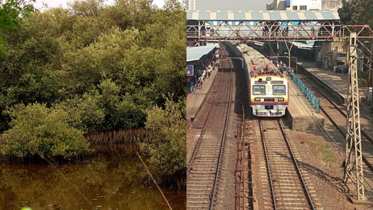 Mumbai Railway Expansion To Remove 166 Trees Between Borivali And Virar
