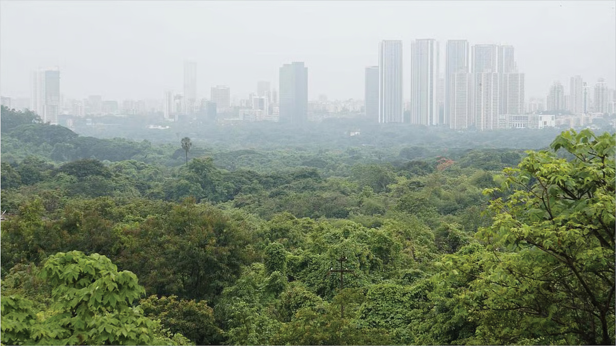 Mumbai Aarey Forest Hosts First Open Air Music Festival December 2025