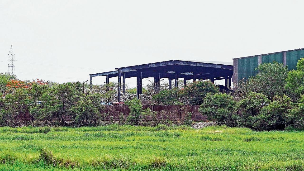 Mumbai Kanjurmarg HC Seeks Urgent Steps After Delayed Dumping Ground Pollution Action