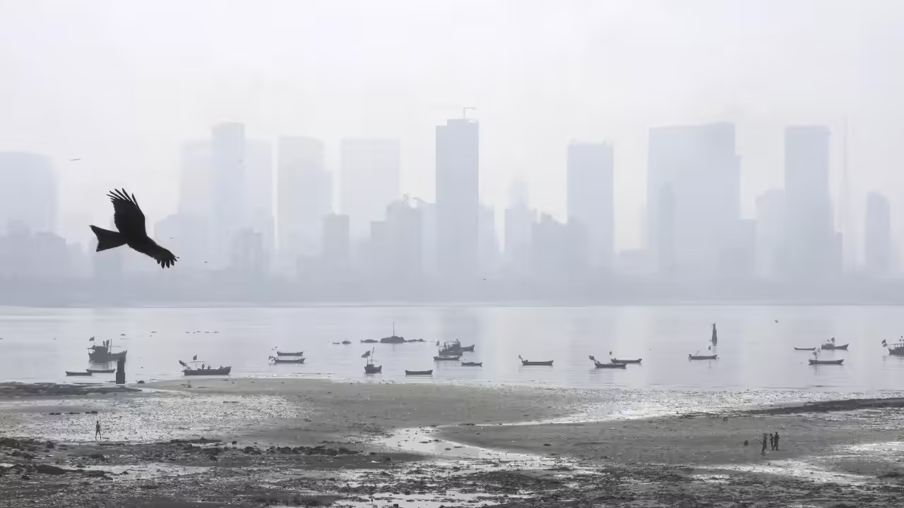 Mumbai Records Significant Improvement In Winter Air Quality As BMC Credits Strict Pollution Control Measures