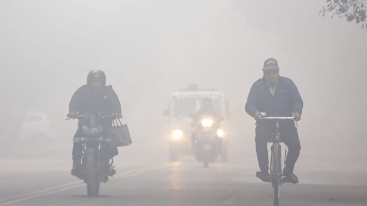 Winter Conditions Intensify Across India With Fog And Cold Wave