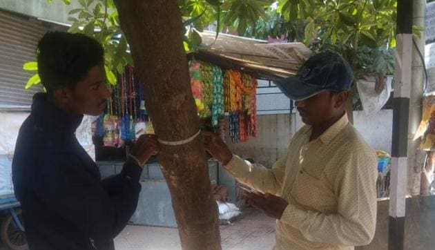 Pune Tree Census Raises Urban Planning Alarms