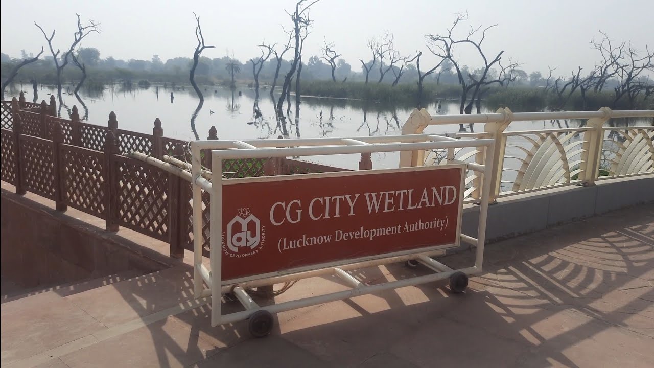 Lucknow CG City Wetland Enters Conservation Phase