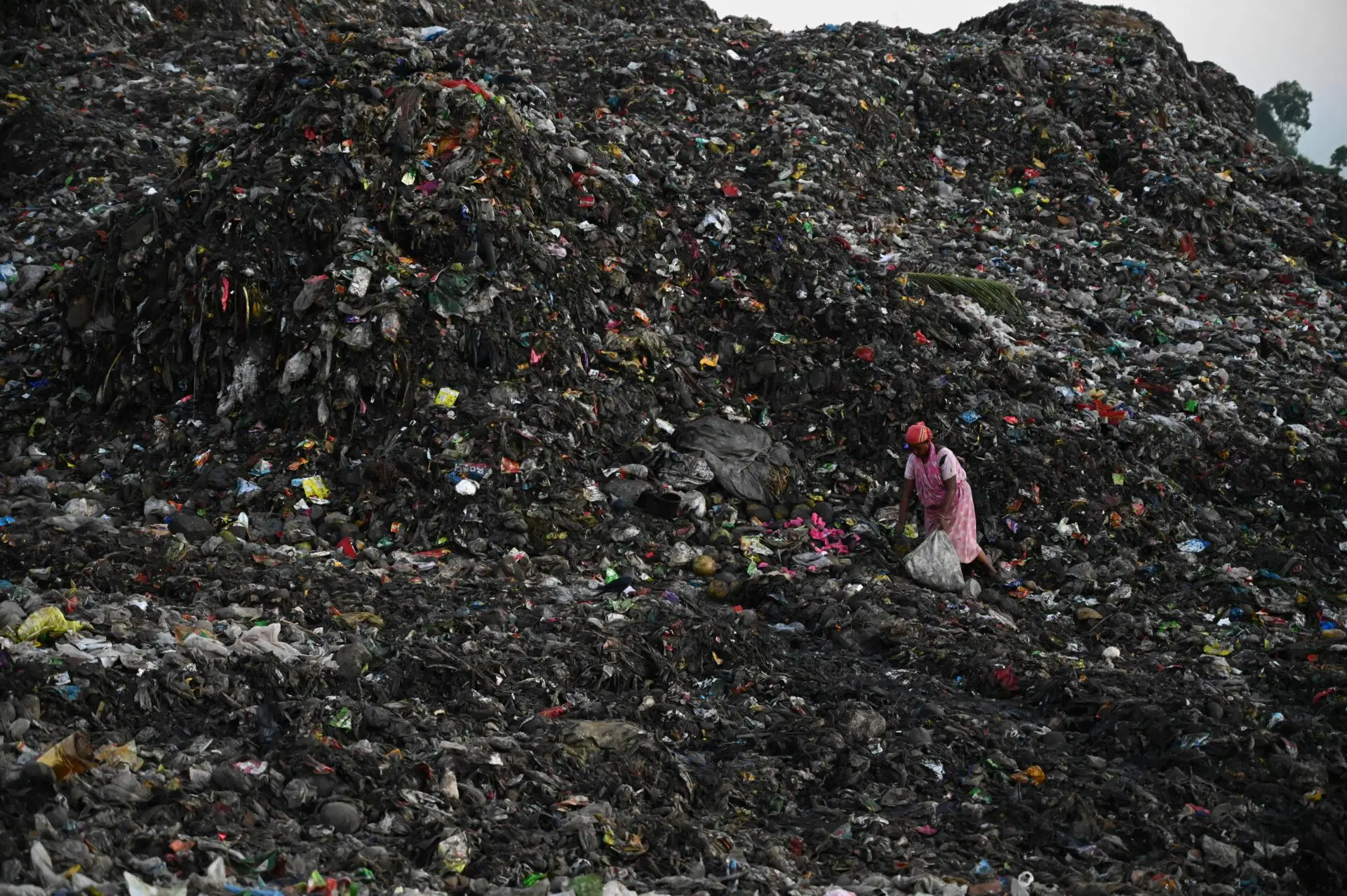 Bengaluru Mandur Cleanup Crosses 9 Lakh Tonnes
