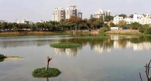 Bengaluru Kalena Agrahara Lake Revival Reshapes Urban Ecology