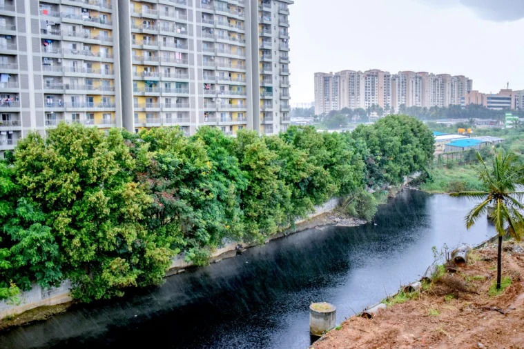 Bengaluru Bellandur Lake Sees Partial Rejuvenation Progress