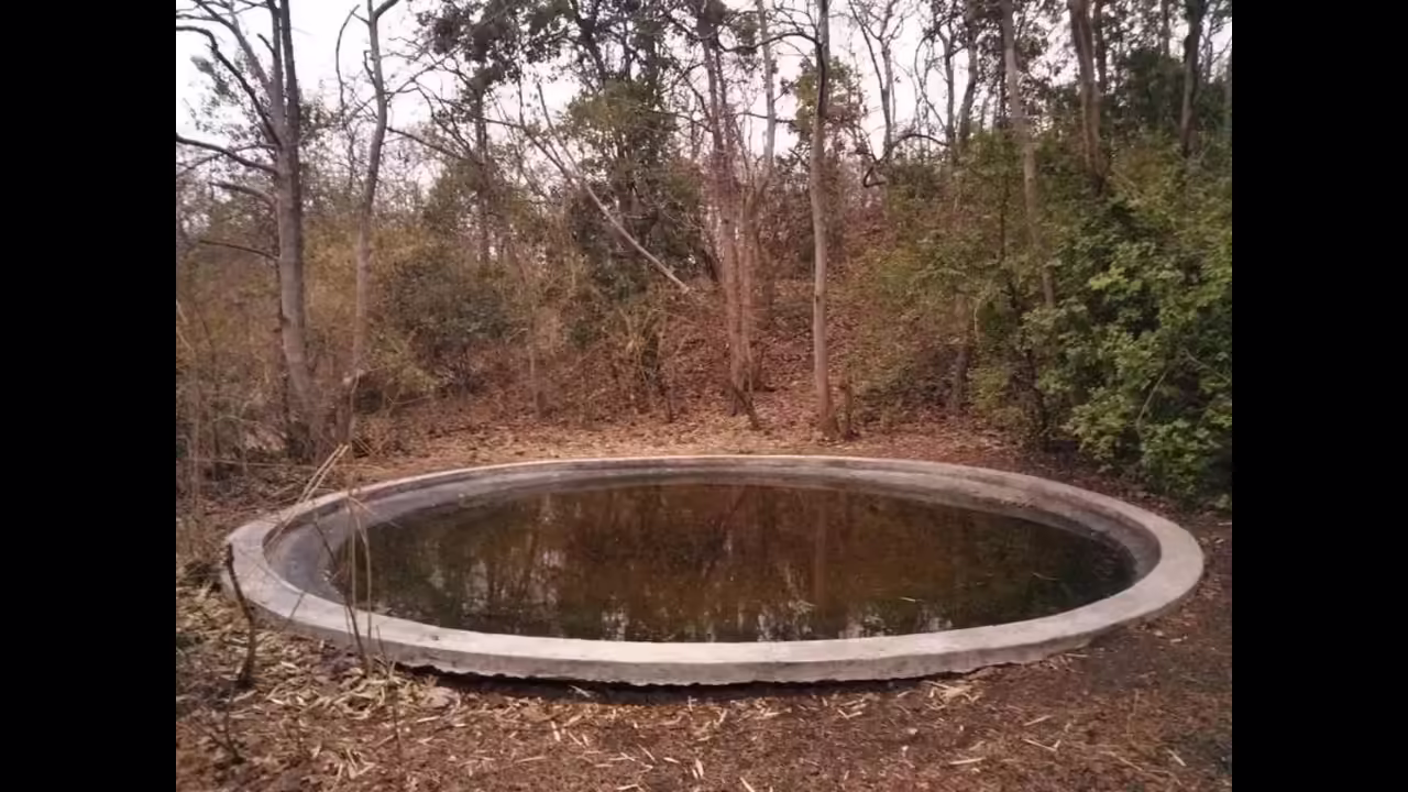 Maharashtra Conservators Urged To Restore Waterholes
