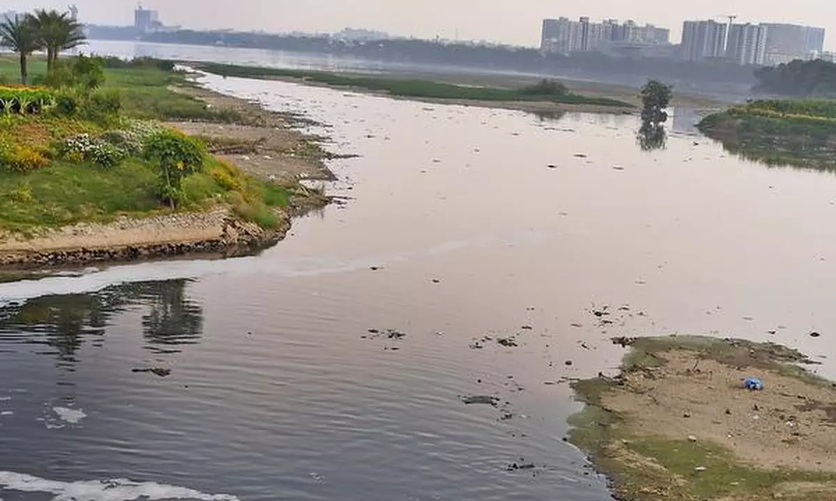 Hyderabad Citizens Flag Lake Pollution Urban Risks