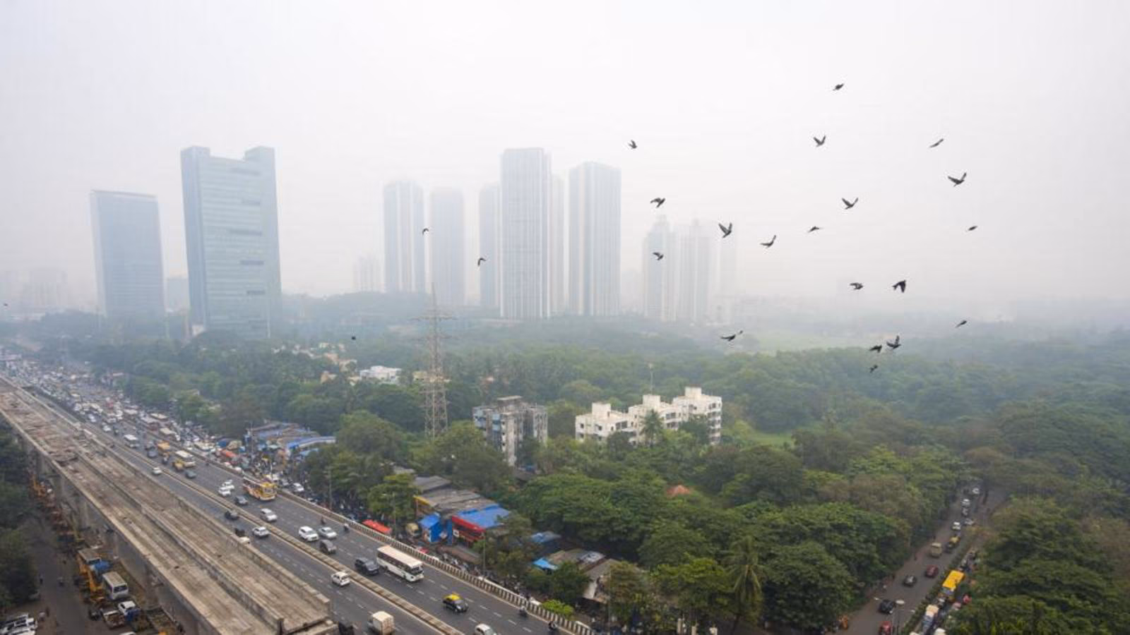 Maharashtra Weather Patterns Vary Across State