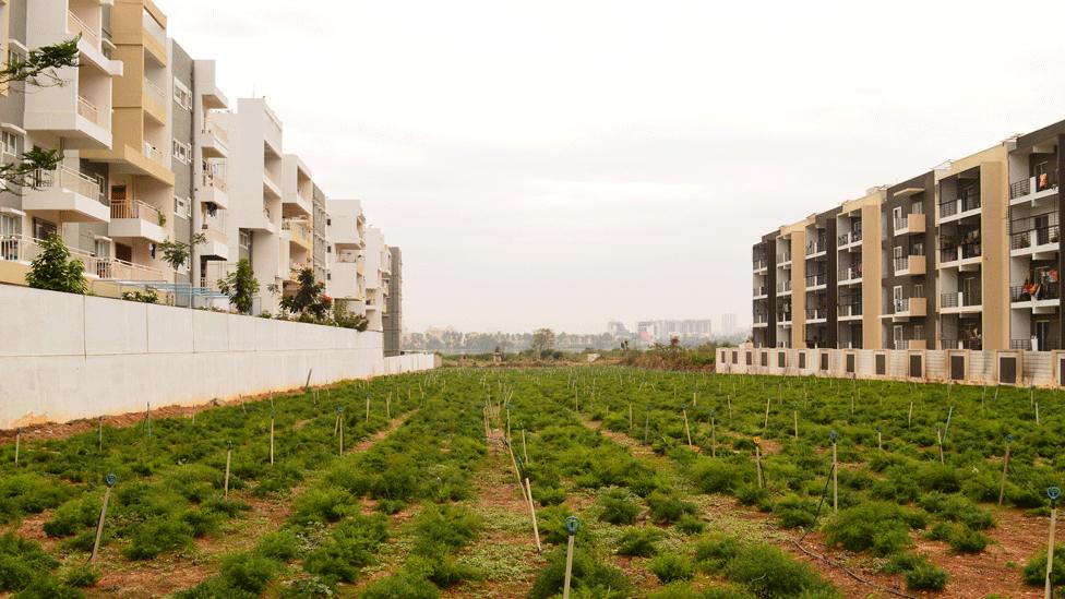 Bengaluru Infrastructure Expansion Leaves Farmers Exposed