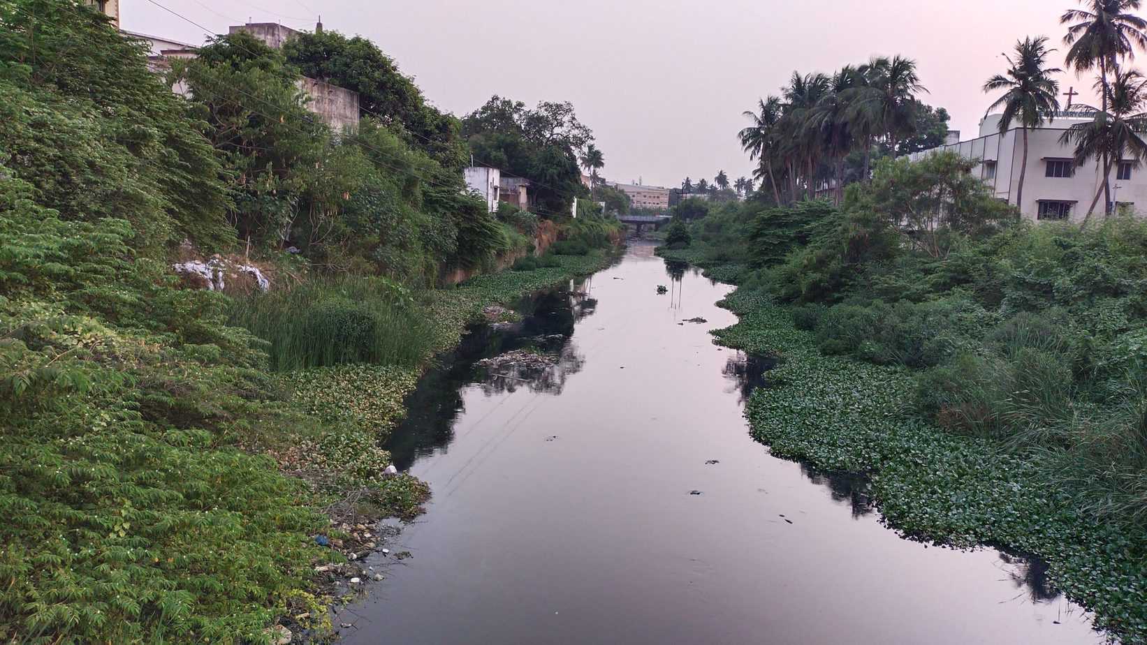 Chennai Otteri Nullah Faces Wastewater Crisis
