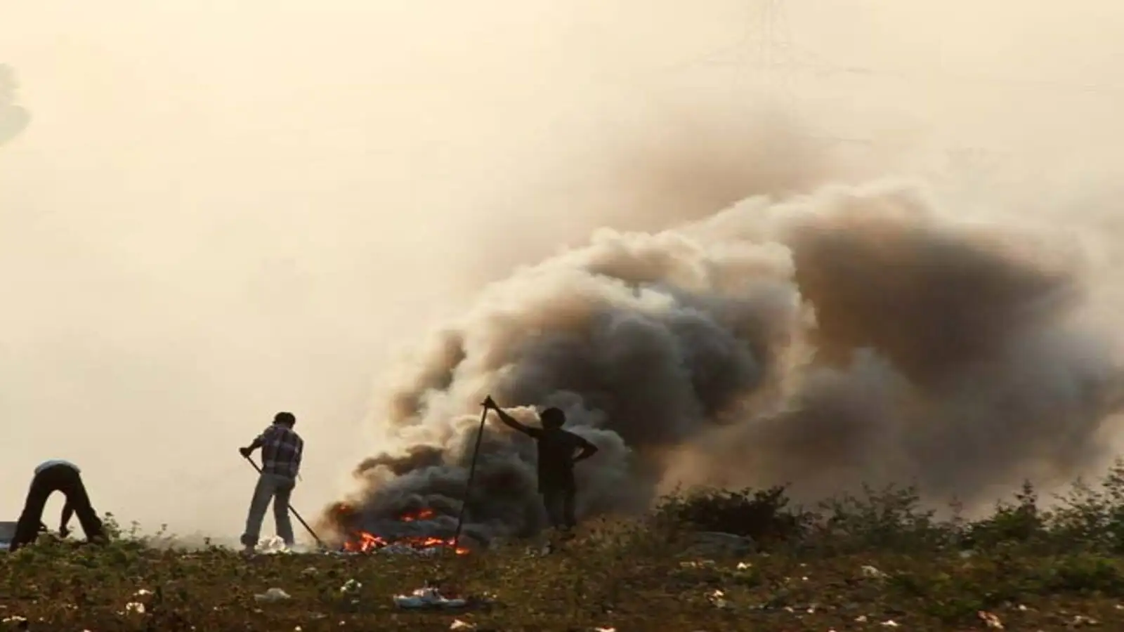 West Bengal Examines Urban And Rural Air Toxicity Differences