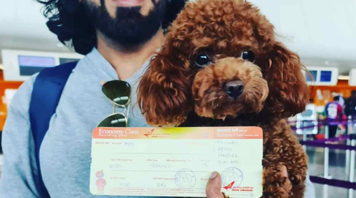 Bengaluru Sees Surge In Urban Pet Air Travel