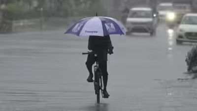 Chennai Weather Update Flags Southern Downpour
