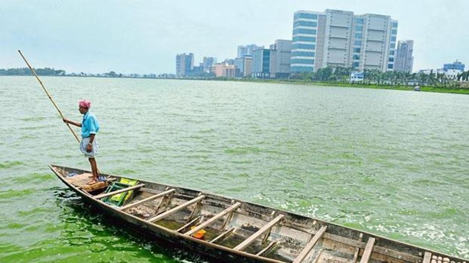 East Kolkata Wetlands Face Demolition Push