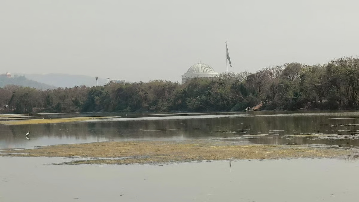 Flamingo Absence Signals Stress In Navi Mumbai Wetlands