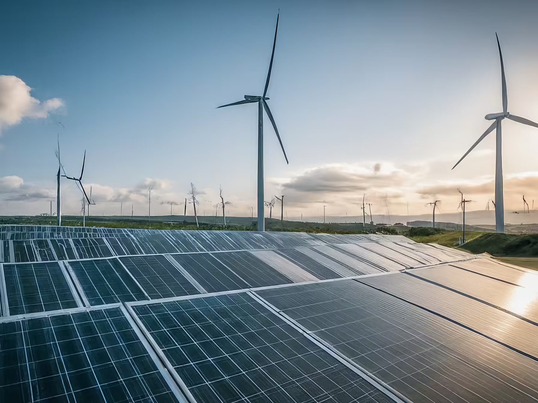 Delhi Opens Renewable Power Access To More Users