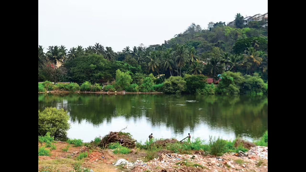 Goa High Court Orders Immediate Mala Lake Cleanup