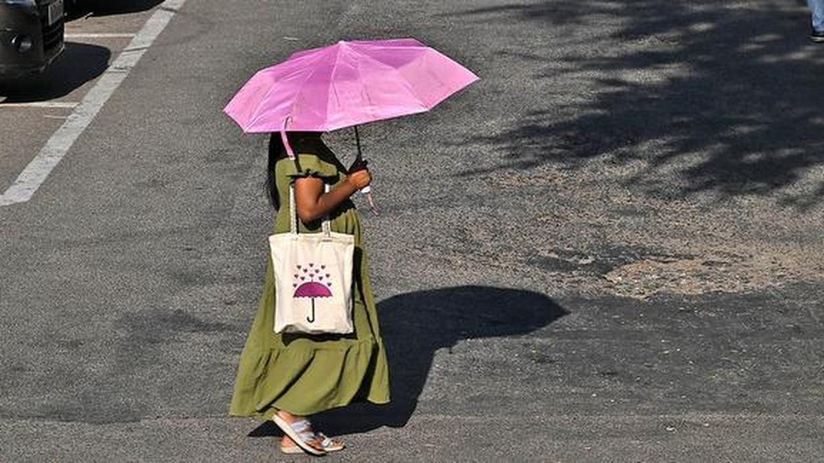 Kerala Simmers At 41 1°C With Mercury Still Rising