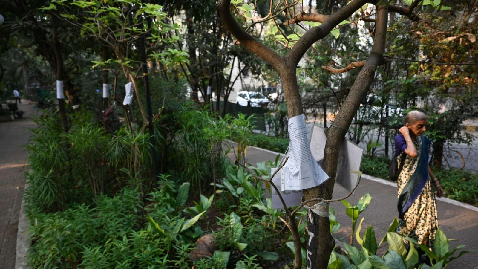 BMC Tree Trimming Drive Sparks Heatwave Concerns In Mumbai