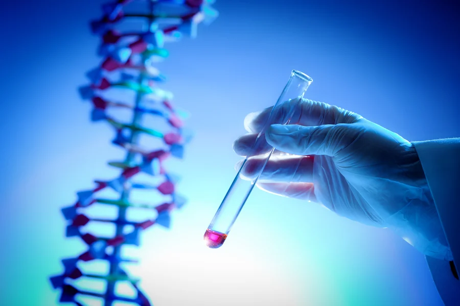 Ahmedabad DNA Test Rise Reflects Urban Trust Challenges