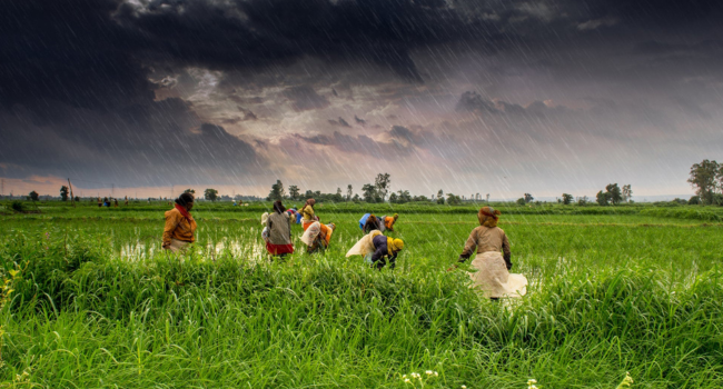 sustainable growth banking