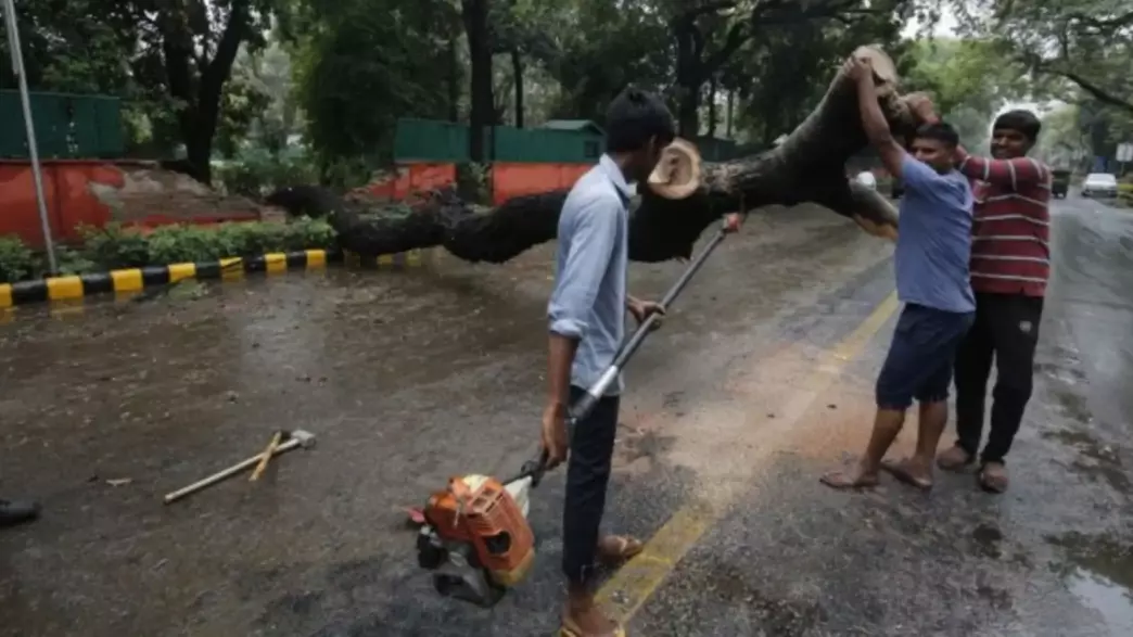 Pune Faces 500 Tree Axe On Ganeshkhind Road