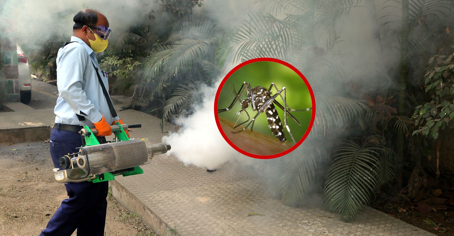 Mumbai Deploys Mosquito Control Device For Disease Prevention