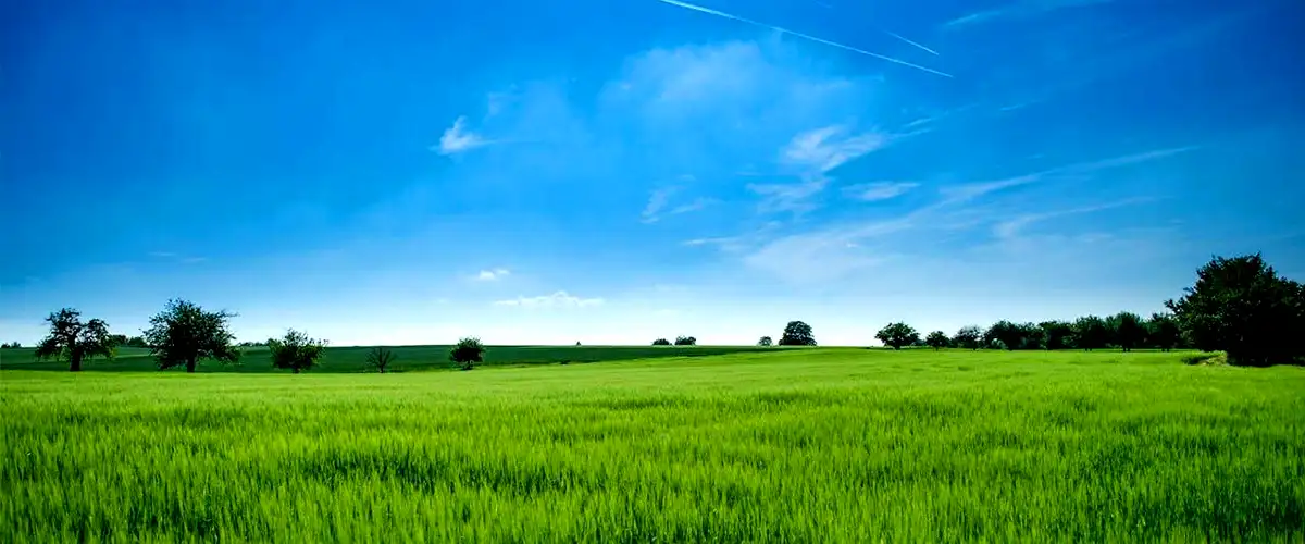 Nagpur Saoner Land Clearance Spurs Industrial Corridor