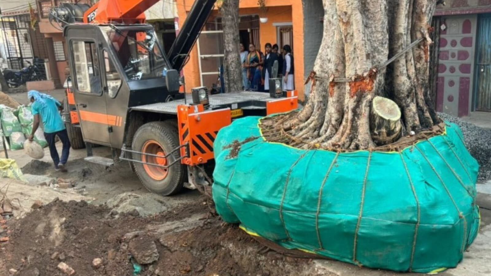 Delhi Revises Tree Transplantation With Advanced Machinery