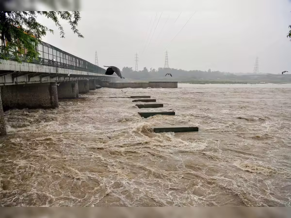 Delhi Yamuna Pollution Surge Raises River Health Alarm